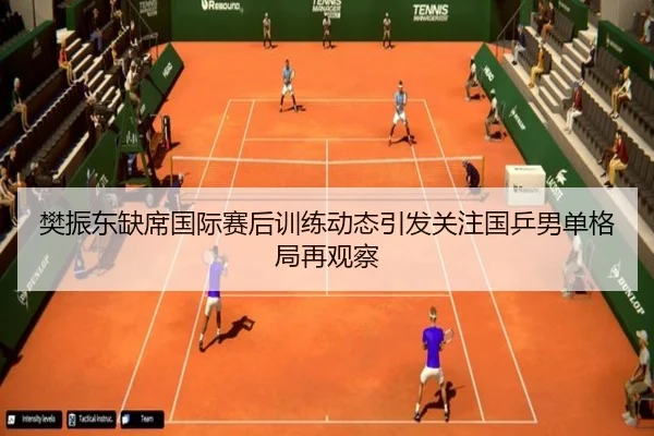 樊振东缺席国际赛后训练动态引发关注国乒男单格局再观察