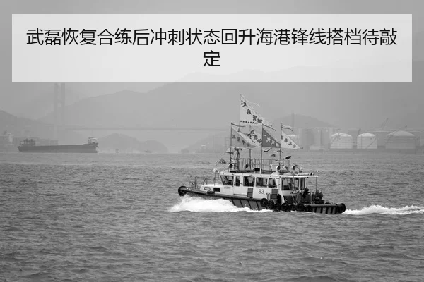 武磊恢复合练后冲刺状态回升海港锋线搭档待敲定